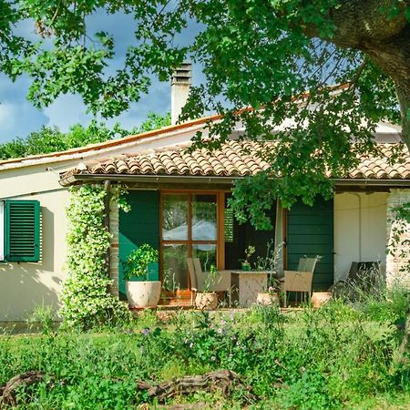 House Boris Apartment Loborika Екстериор снимка